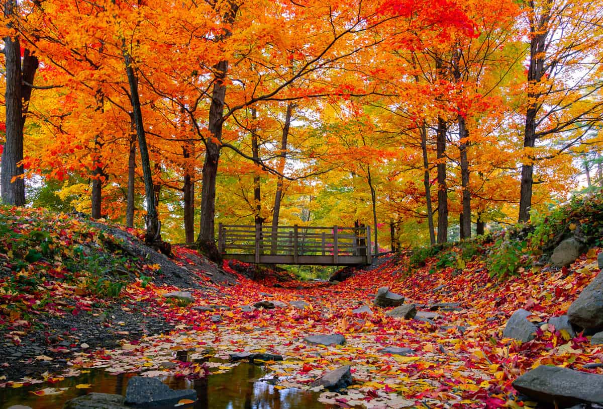 About NY Land Brokers